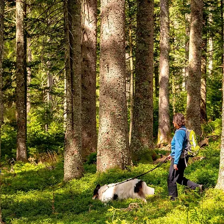 Zum Kreuz Pensión 3*